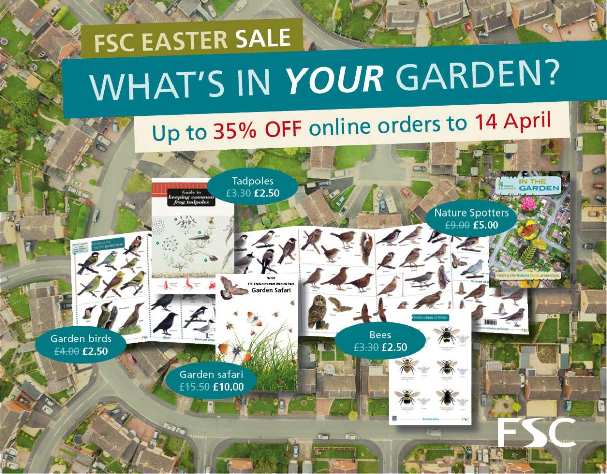 FSC Easter Sale
