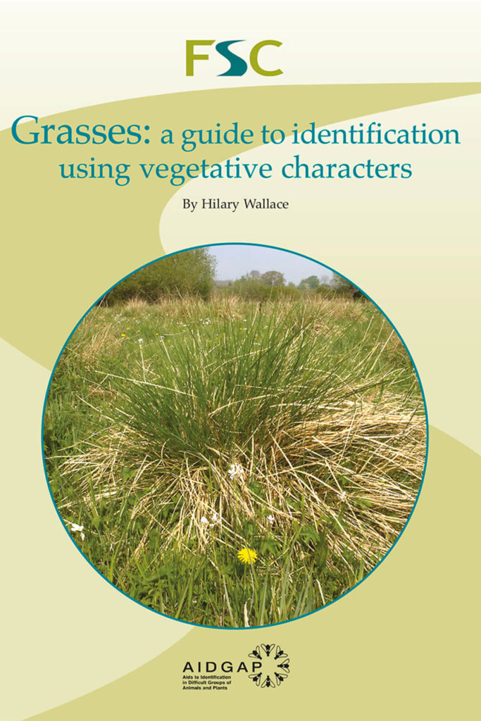 Key to Grasses