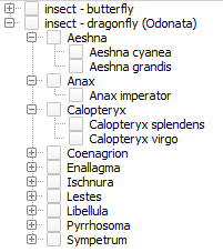 Biological Records Tool taxon tree